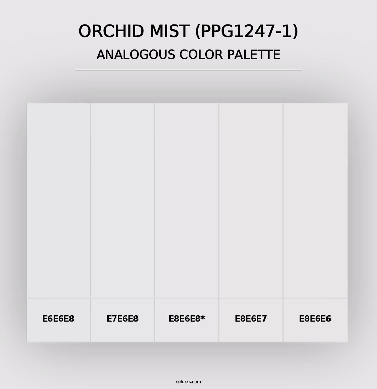 Orchid Mist (PPG1247-1) - Analogous Color Palette