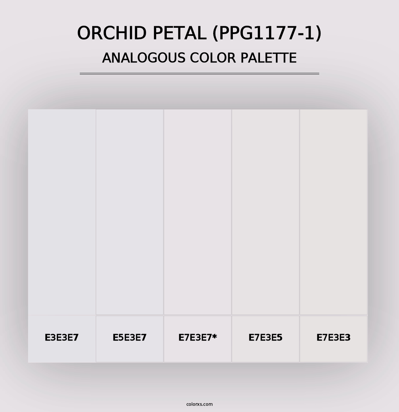 Orchid Petal (PPG1177-1) - Analogous Color Palette