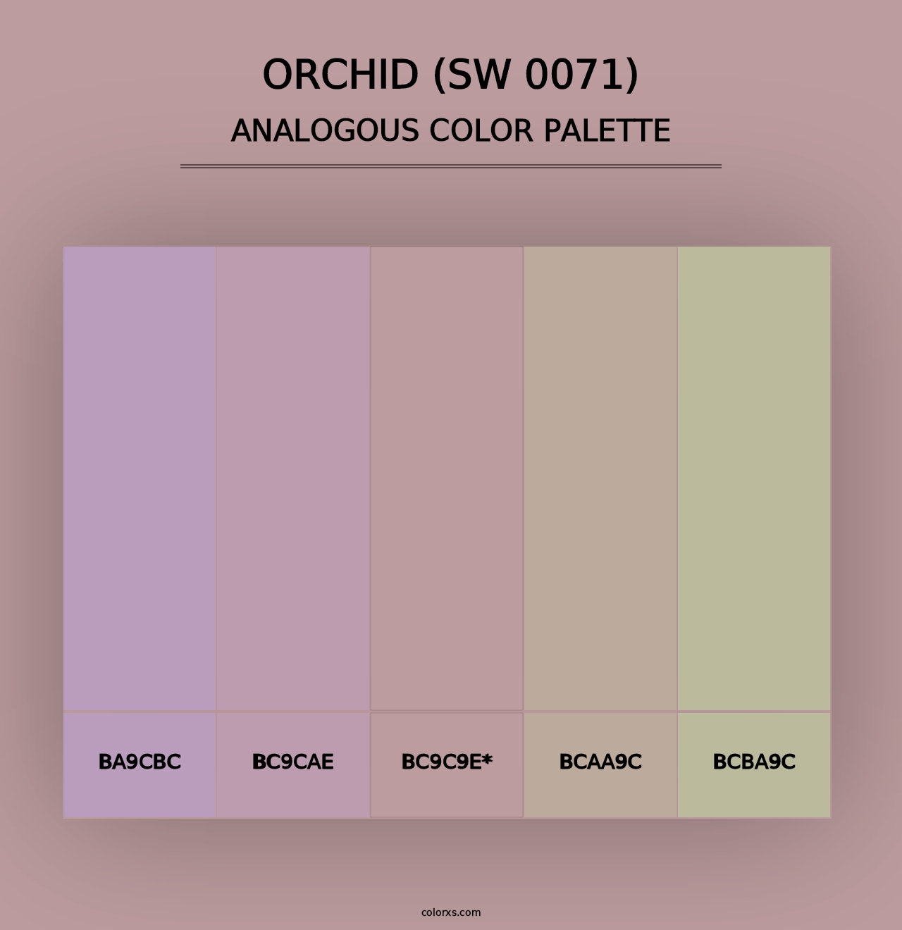 Orchid (SW 0071) - Analogous Color Palette