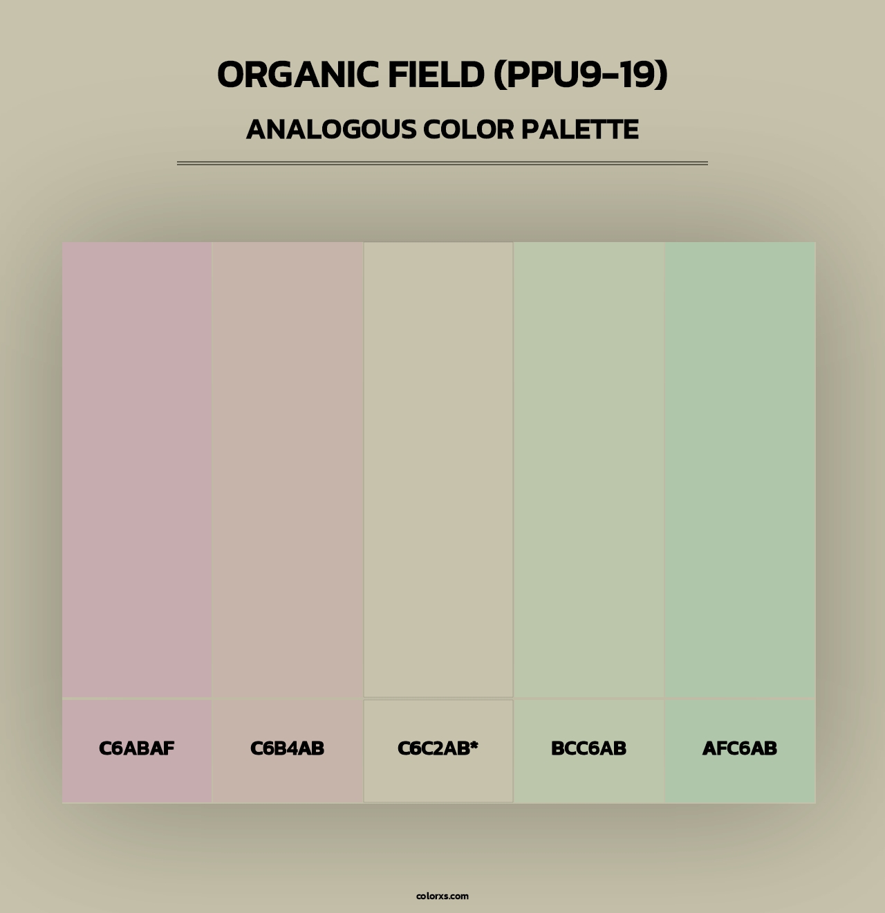 Organic Field (PPU9-19) - Analogous Color Palette