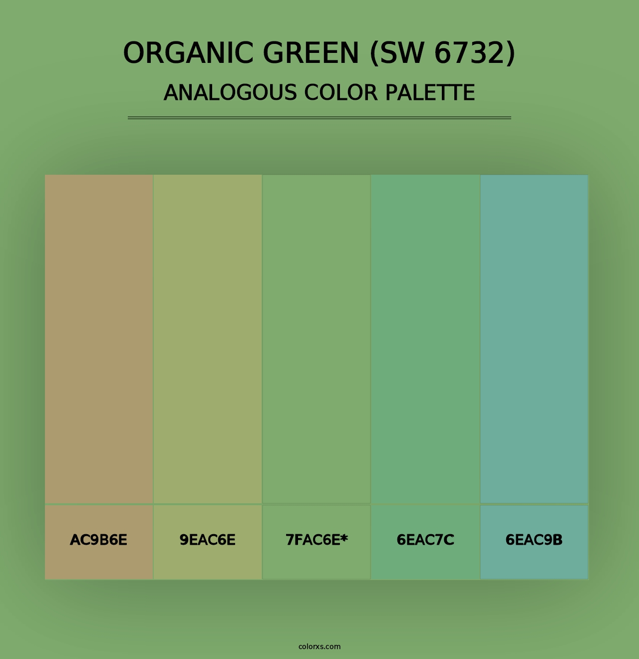 Organic Green (SW 6732) - Analogous Color Palette