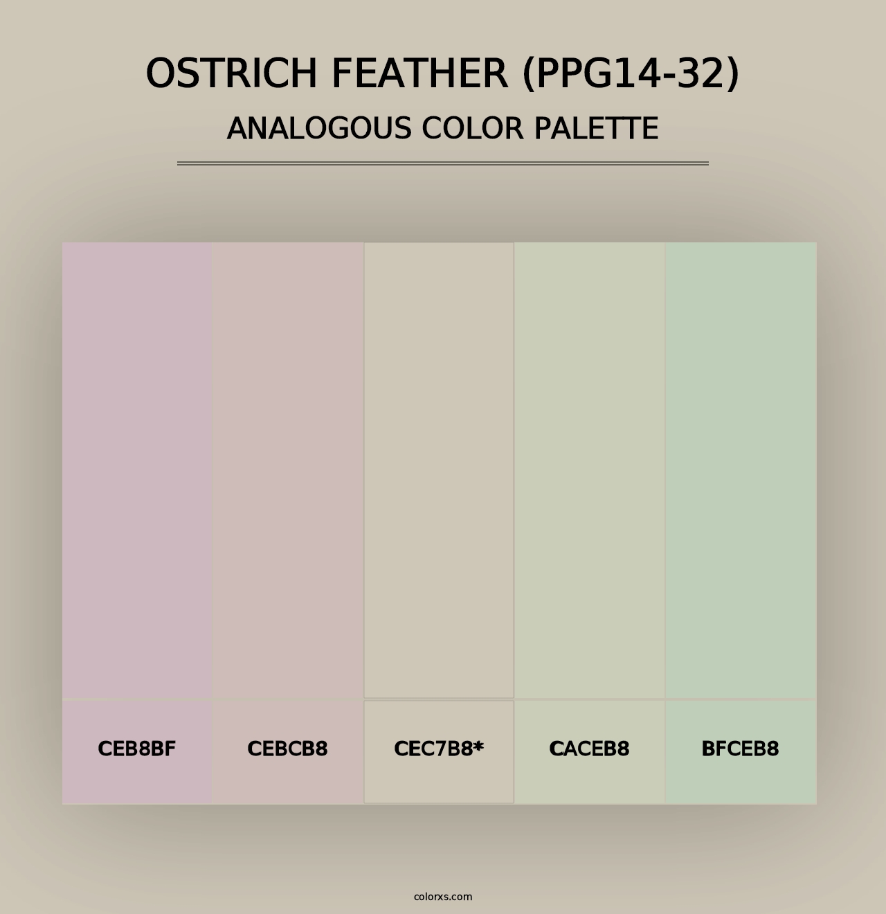 Ostrich Feather (PPG14-32) - Analogous Color Palette