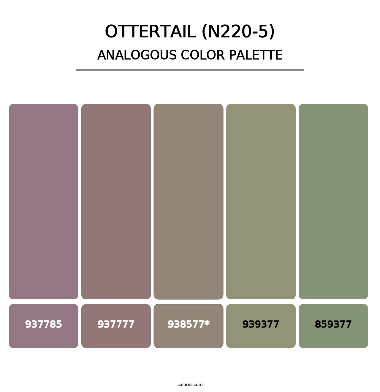 Ottertail (N220-5) - Analogous Color Palette