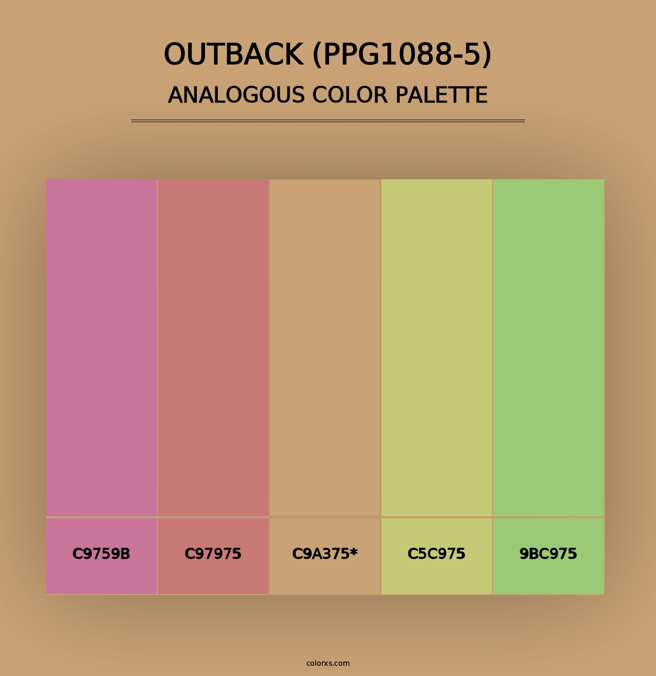 Outback (PPG1088-5) - Analogous Color Palette