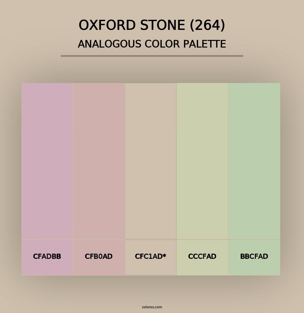 Oxford Stone (264) - Analogous Color Palette