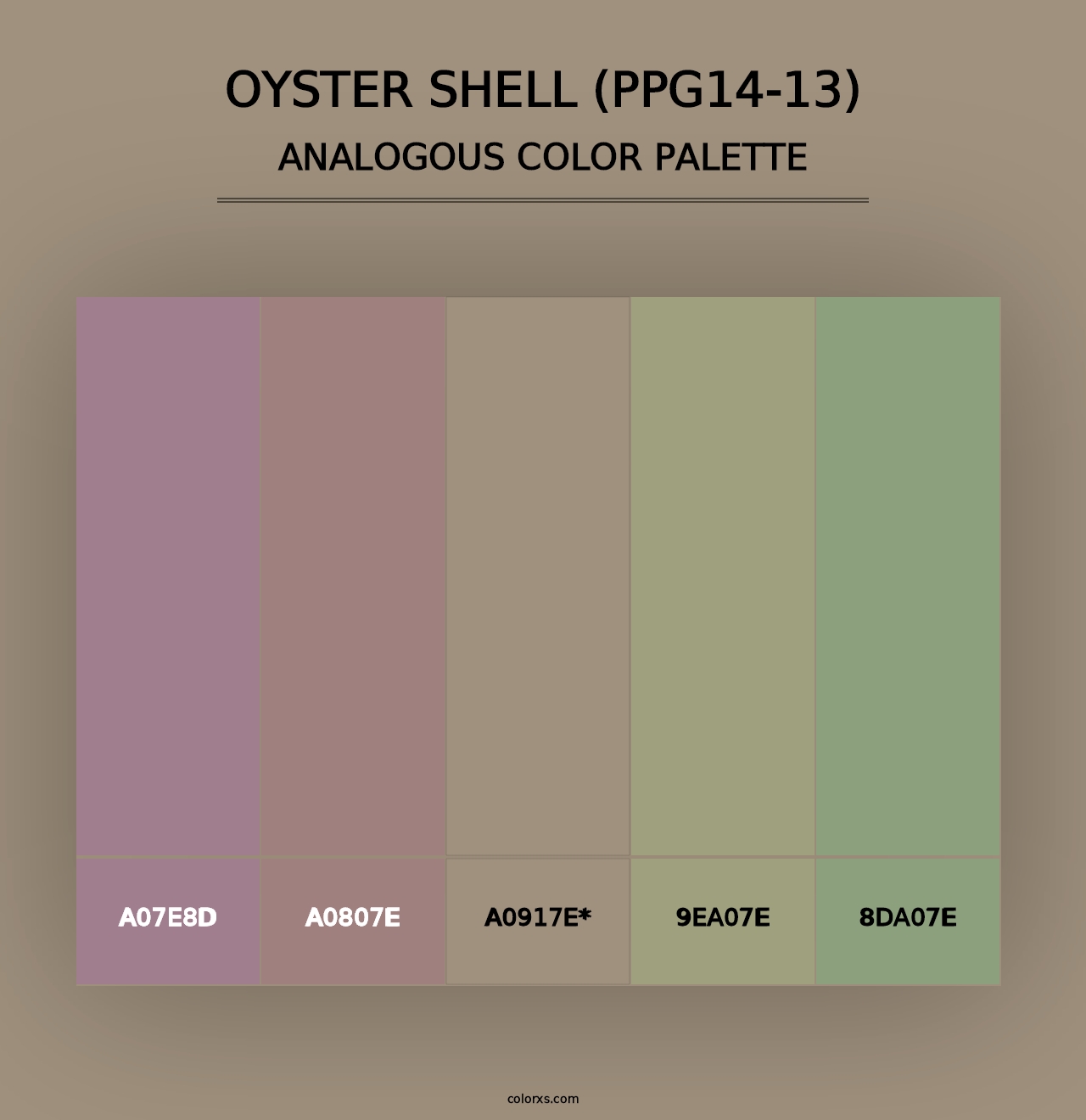 Oyster Shell (PPG14-13) - Analogous Color Palette