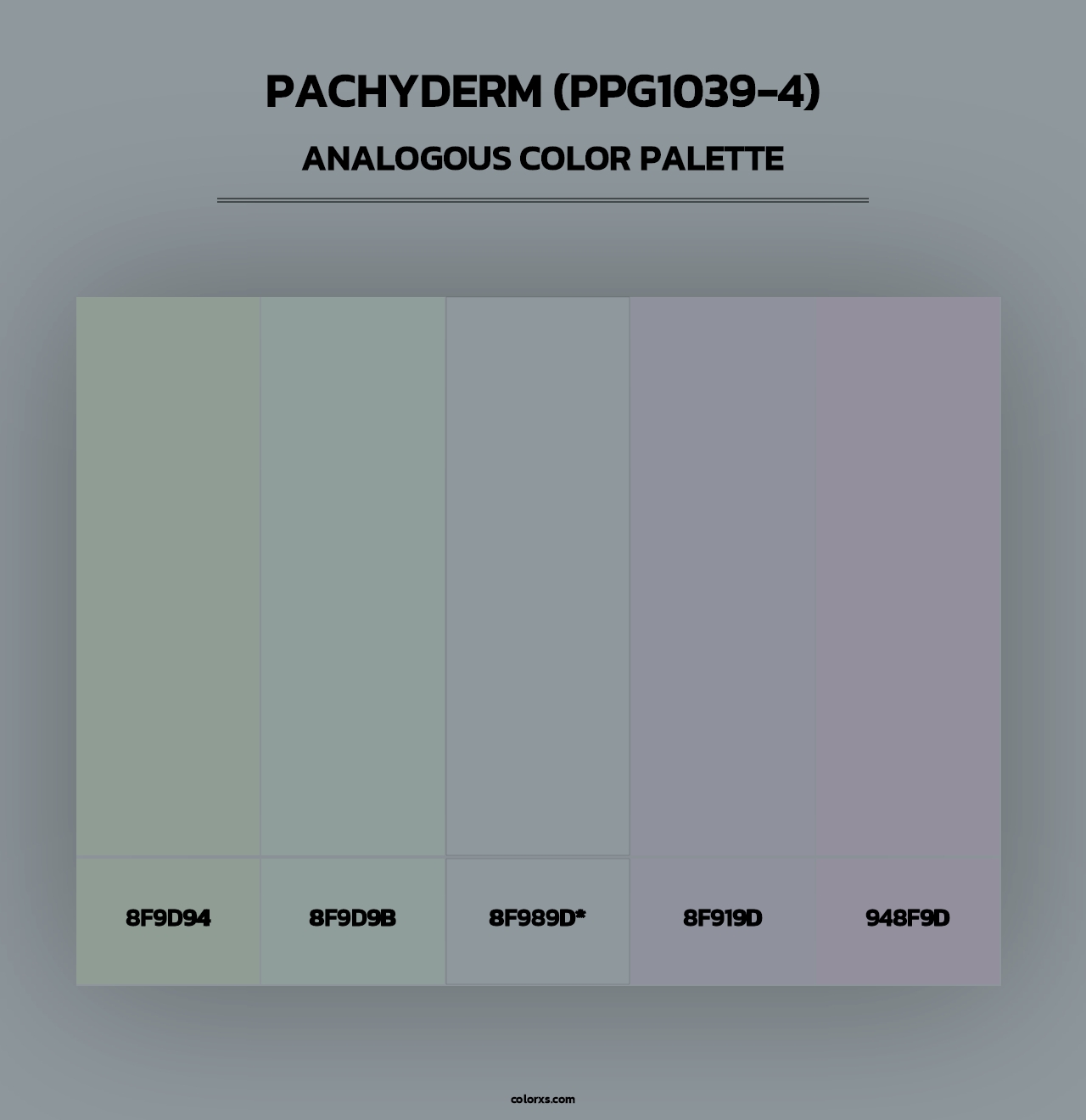 Pachyderm (PPG1039-4) - Analogous Color Palette