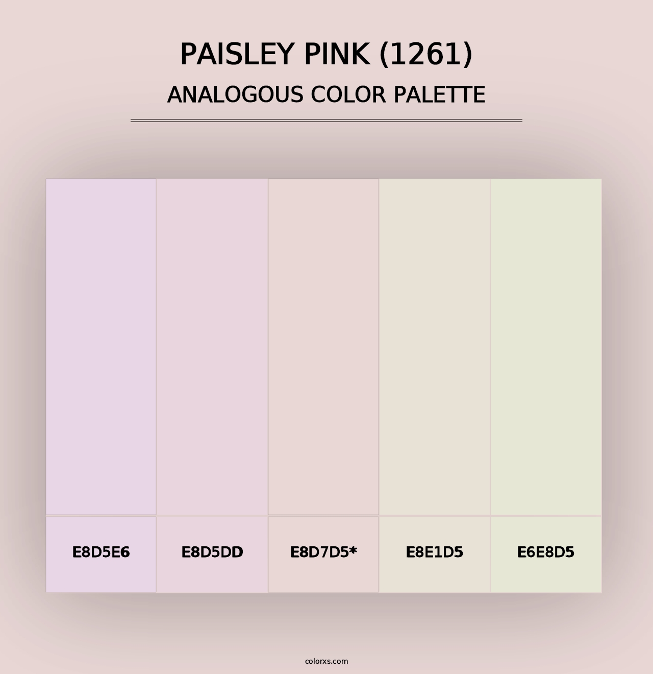 Paisley Pink (1261) - Analogous Color Palette