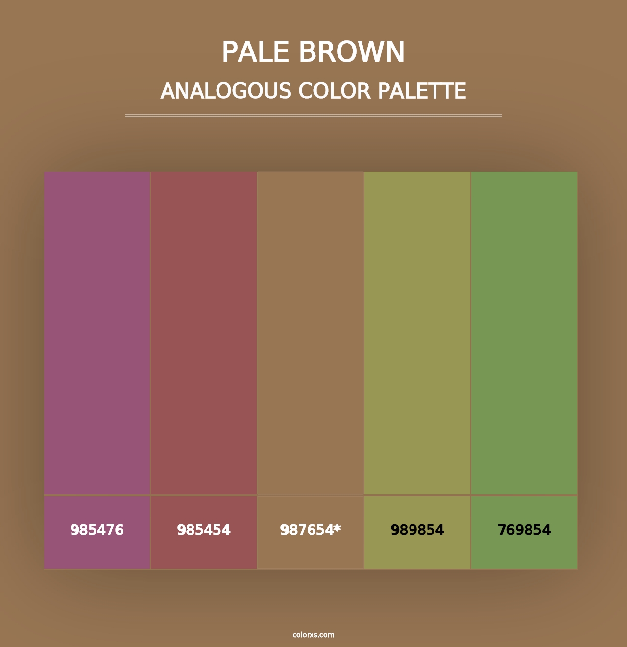 Pale Brown - Analogous Color Palette