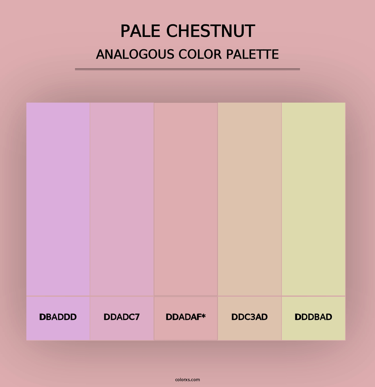 Pale Chestnut - Analogous Color Palette