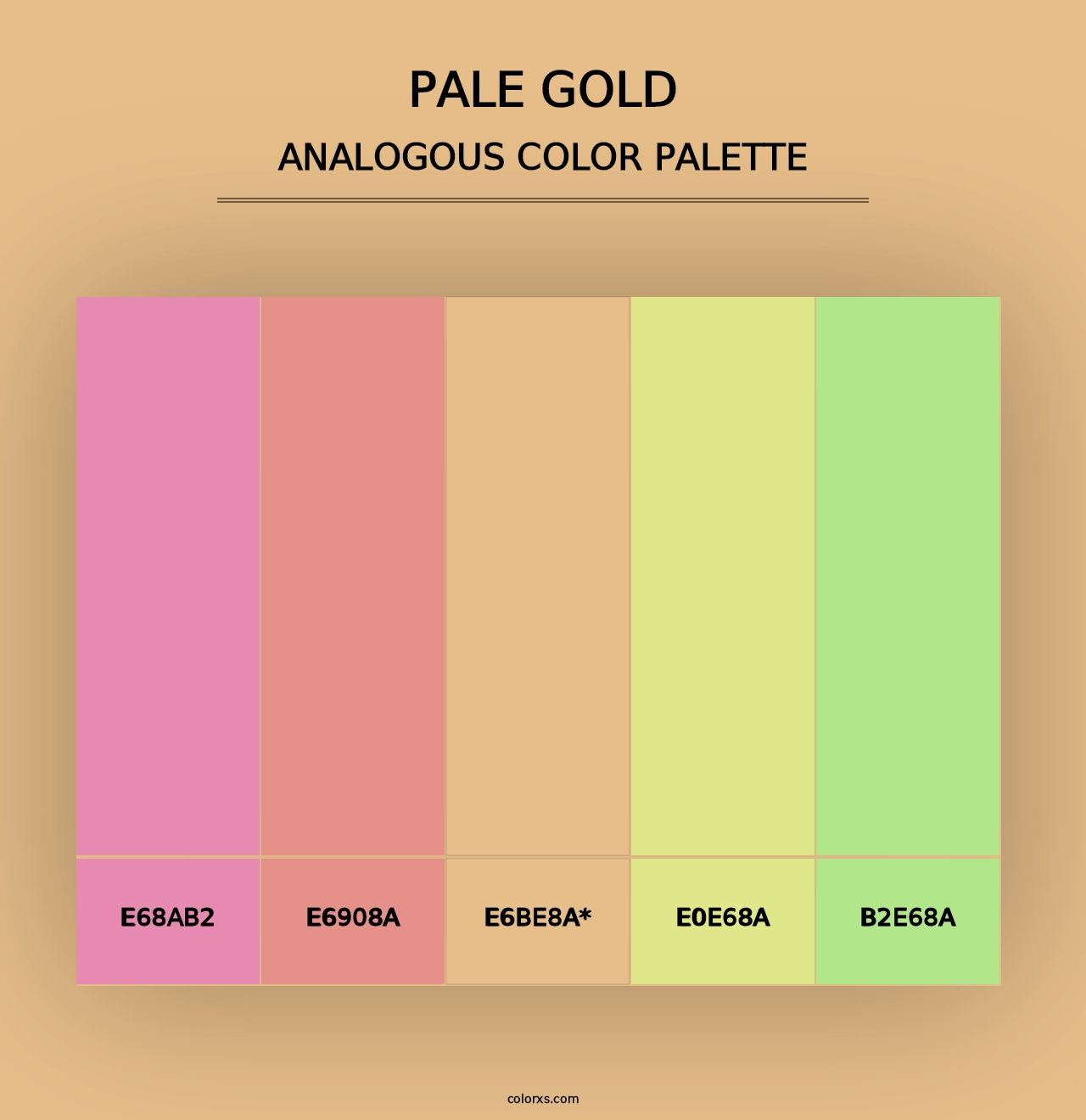 Pale Gold - Analogous Color Palette