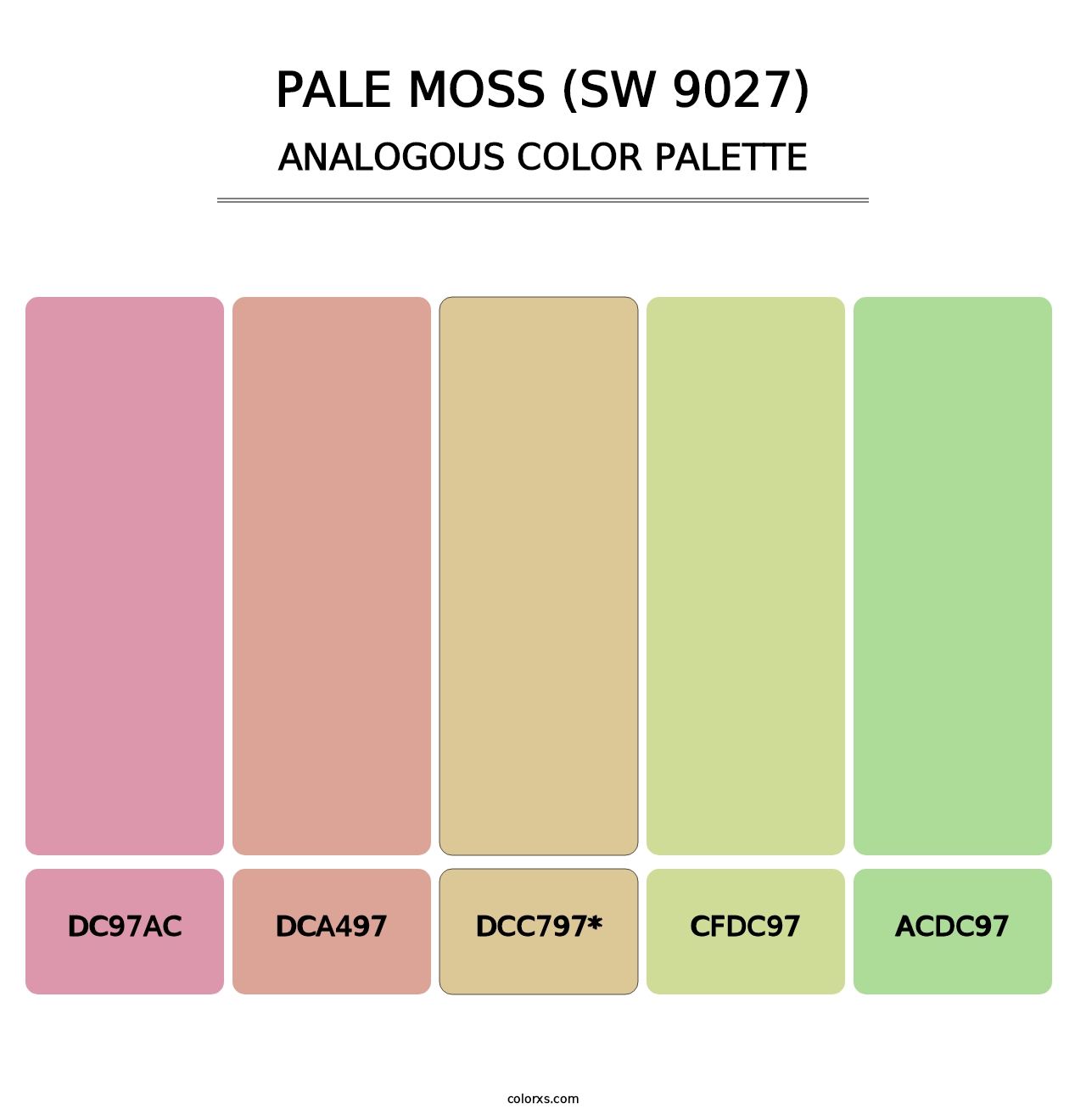 Pale Moss (SW 9027) - Analogous Color Palette