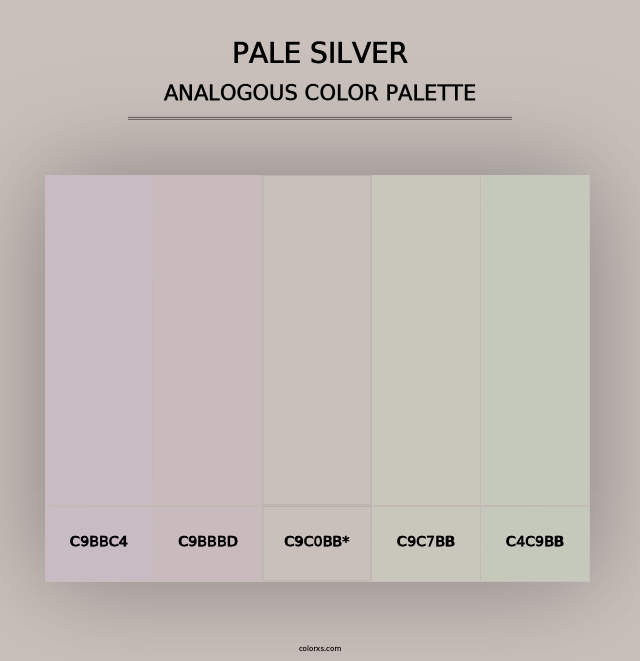 Pale Silver - Analogous Color Palette