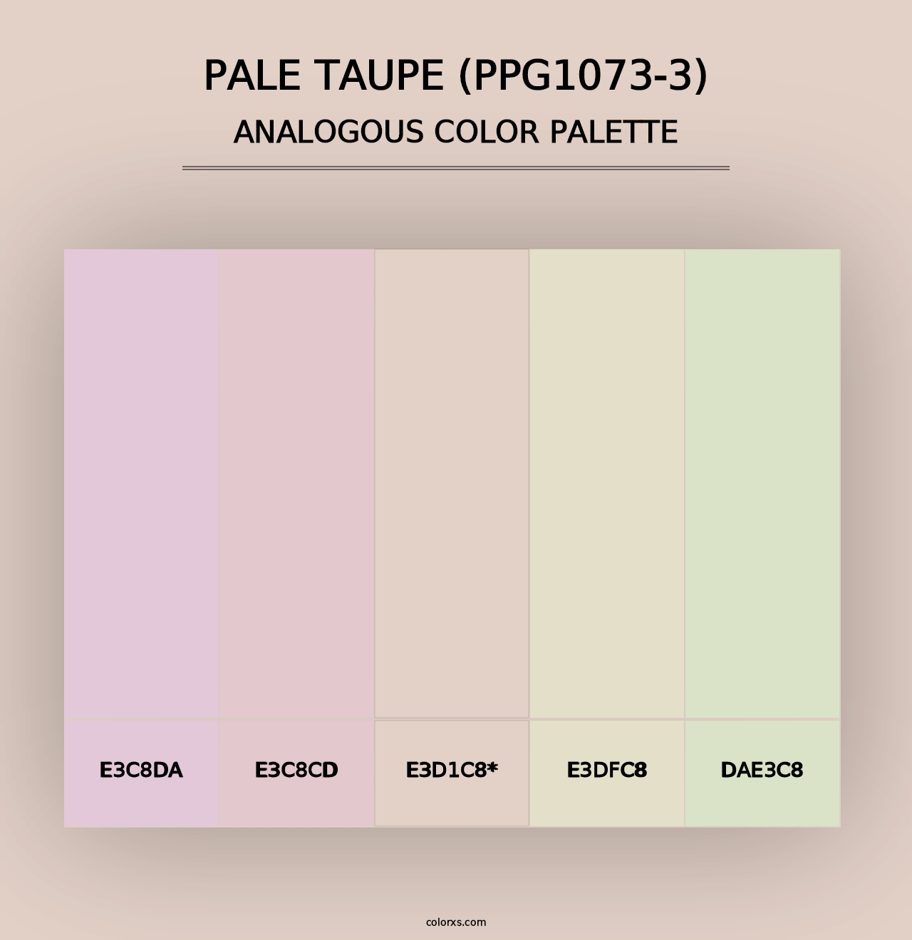 Pale Taupe (PPG1073-3) - Analogous Color Palette