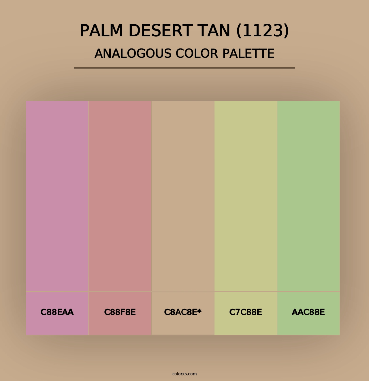 Palm Desert Tan (1123) - Analogous Color Palette