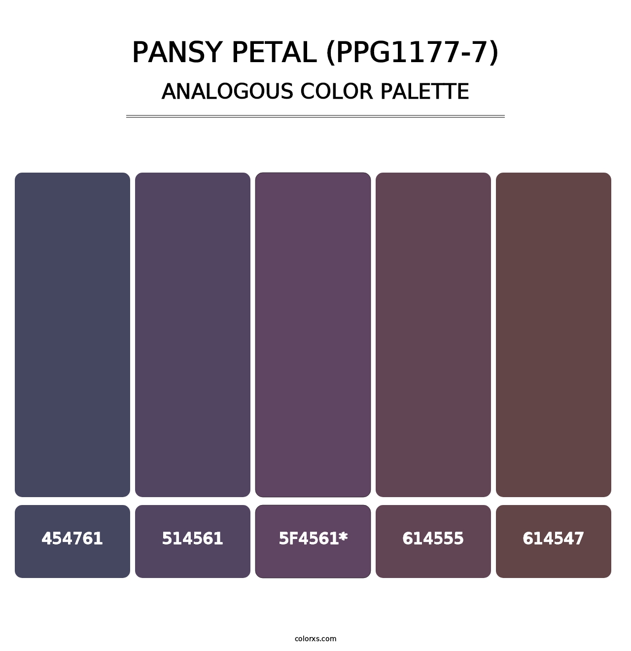 Pansy Petal (PPG1177-7) - Analogous Color Palette