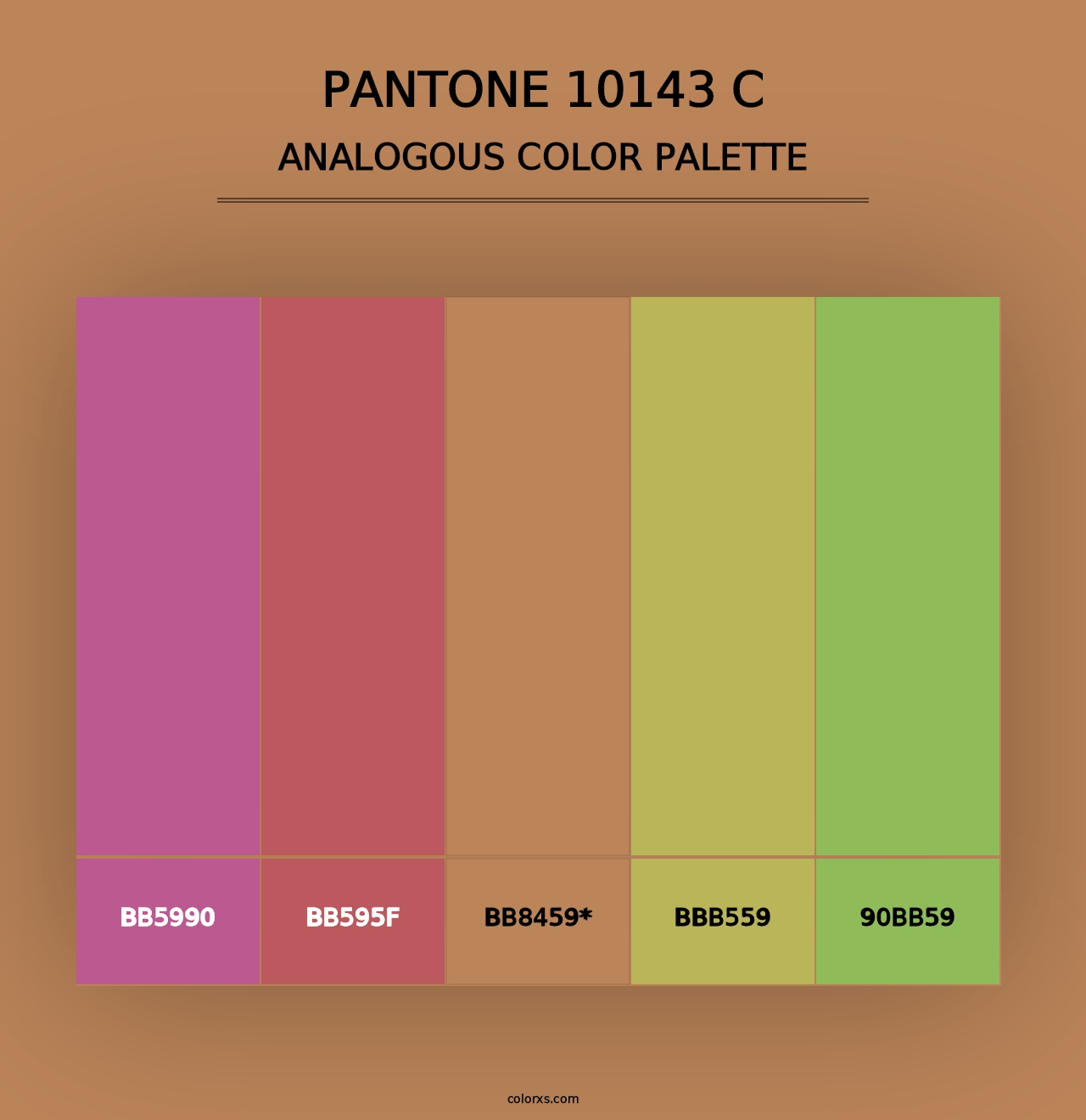 PANTONE 10143 C - Analogous Color Palette