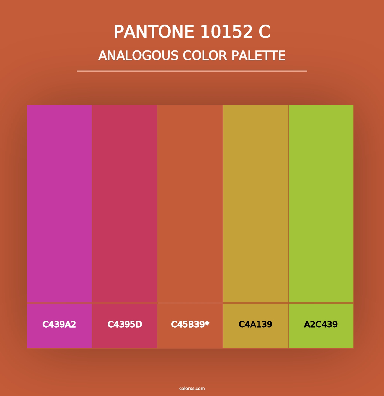 PANTONE 10152 C - Analogous Color Palette