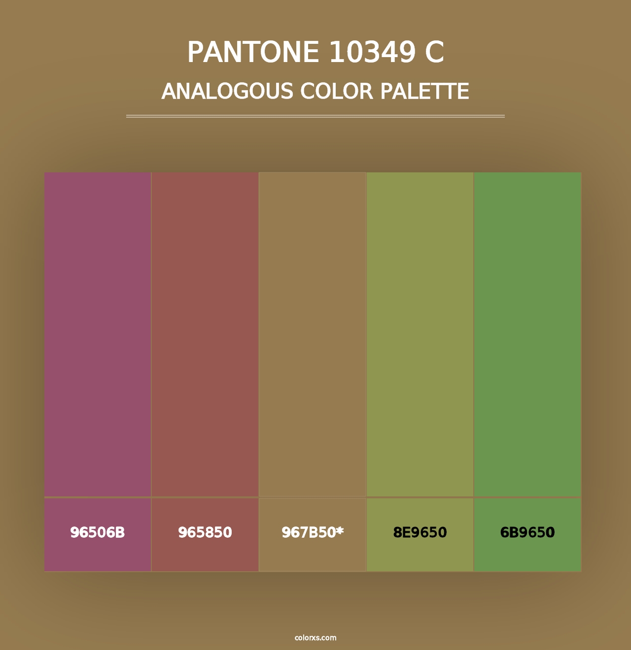 PANTONE 10349 C - Analogous Color Palette