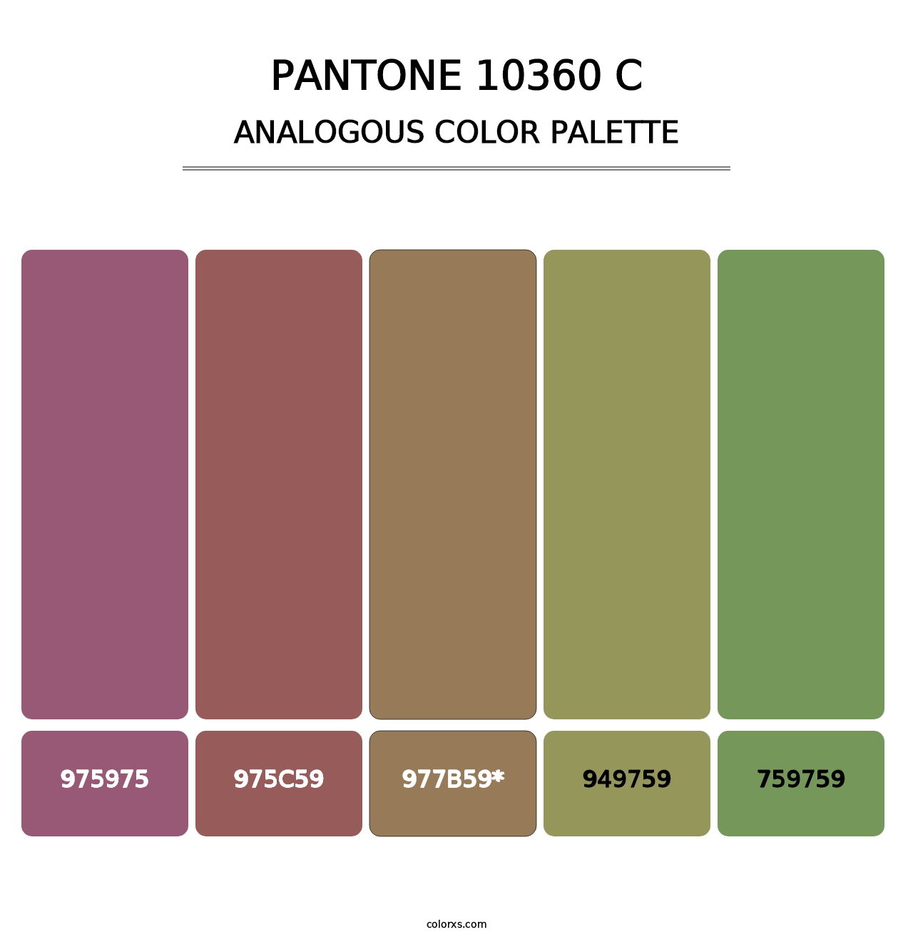 PANTONE 10360 C - Analogous Color Palette