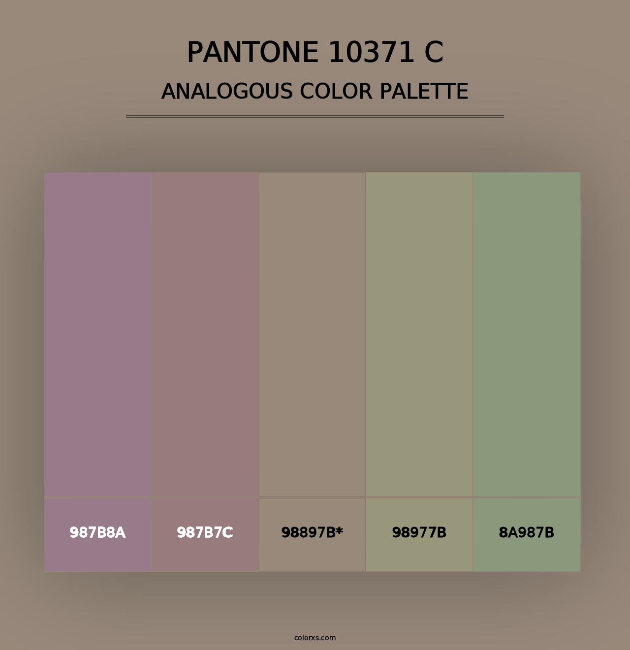 PANTONE 10371 C - Analogous Color Palette