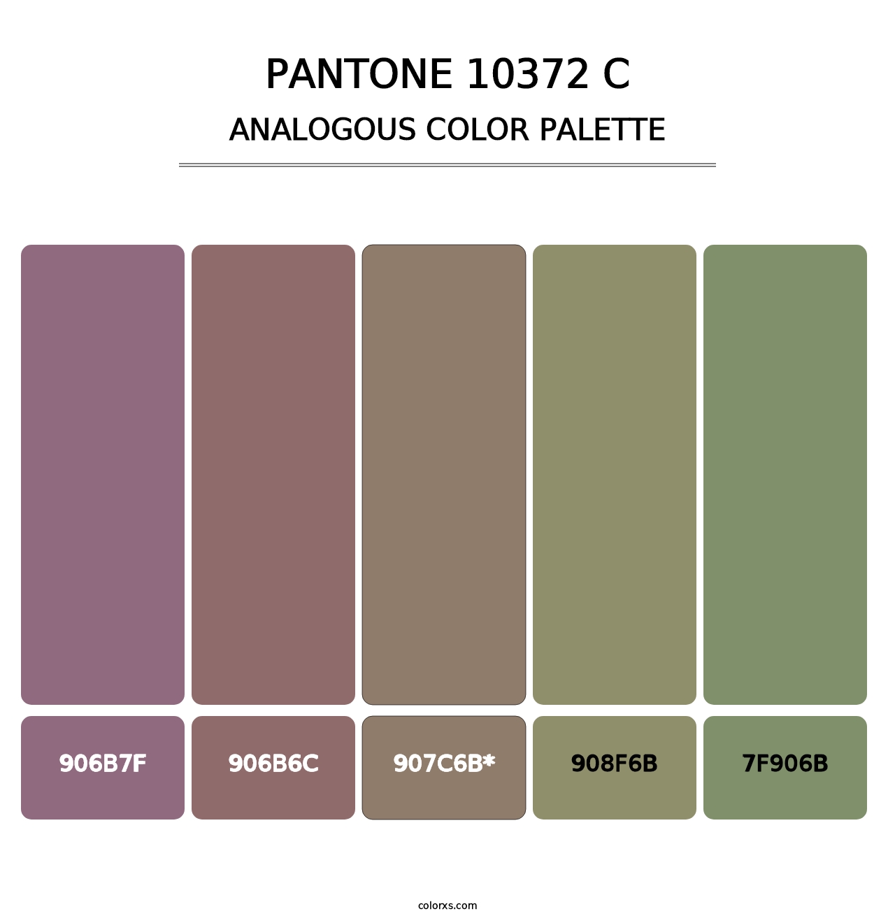 PANTONE 10372 C - Analogous Color Palette