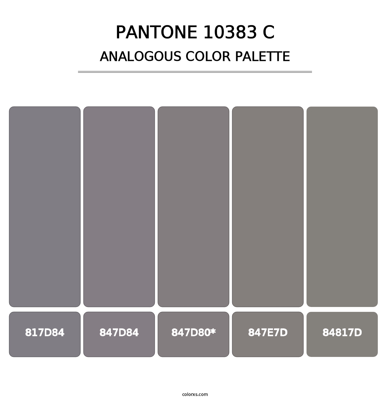 PANTONE 10383 C - Analogous Color Palette