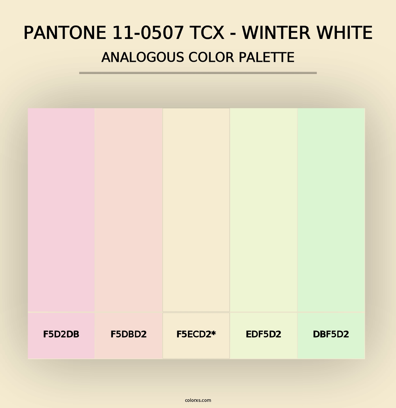 PANTONE 11-0507 TCX - Winter White - Analogous Color Palette