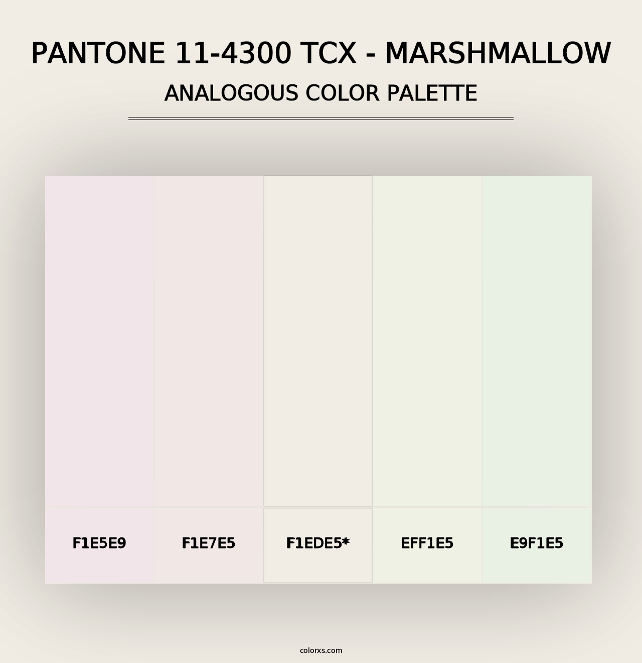 PANTONE 11-4300 TCX - Marshmallow - Analogous Color Palette