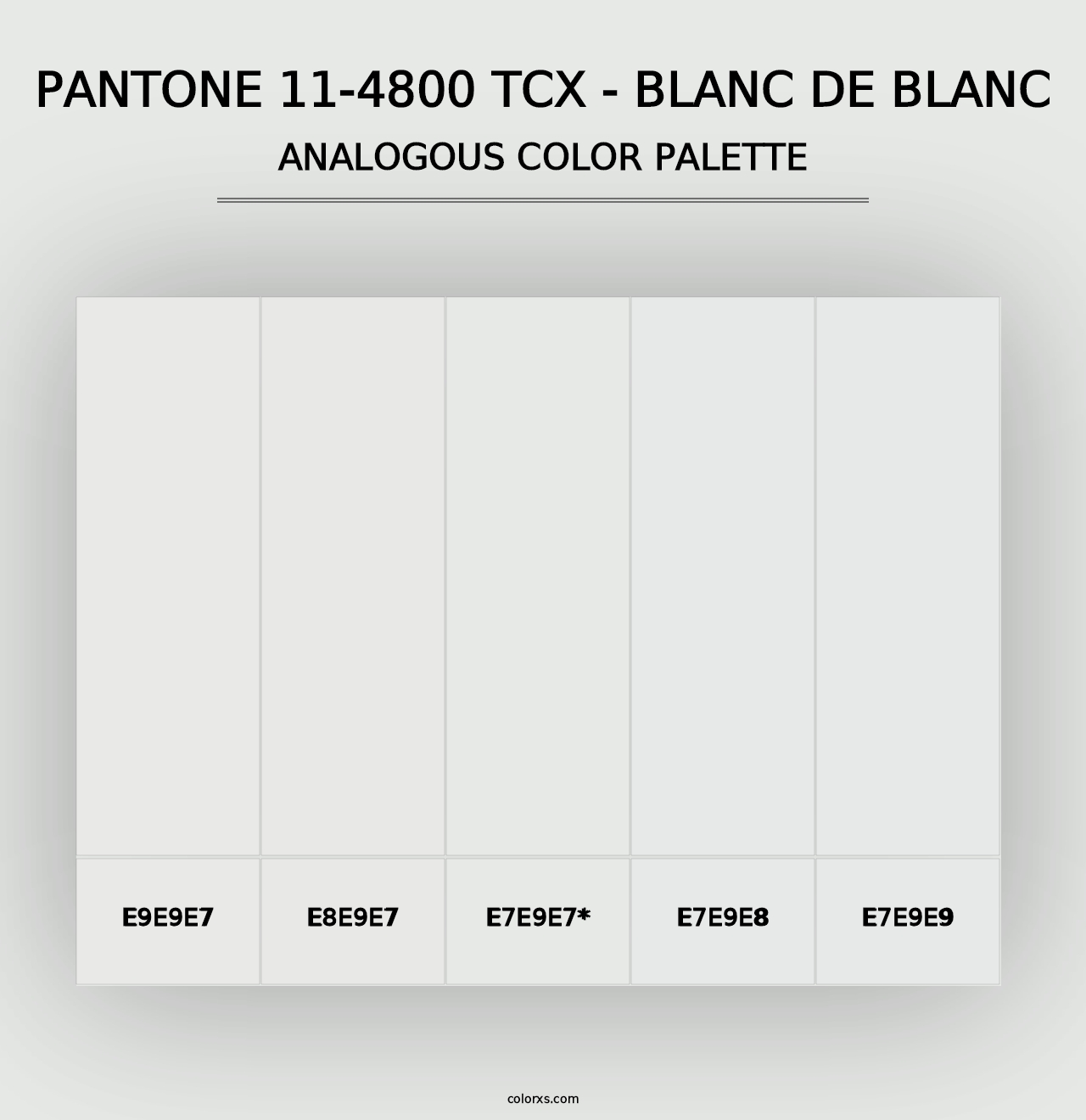 PANTONE 11-4800 TCX - Blanc de Blanc - Analogous Color Palette