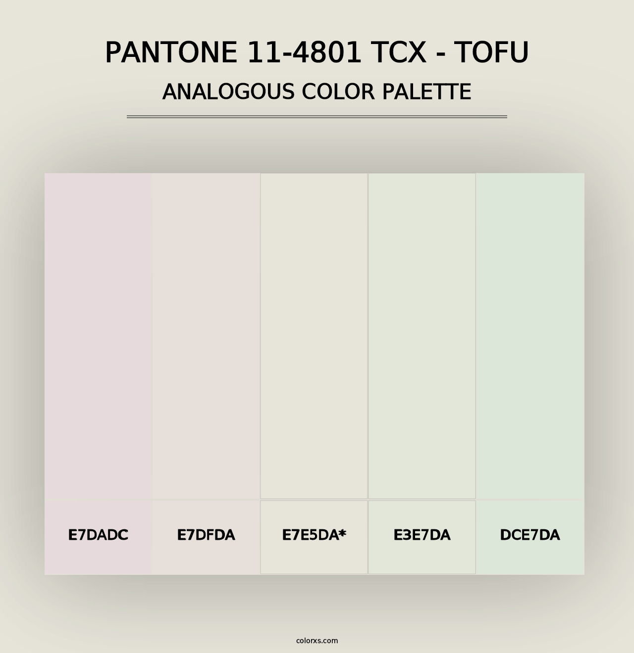 PANTONE 11-4801 TCX - Tofu - Analogous Color Palette