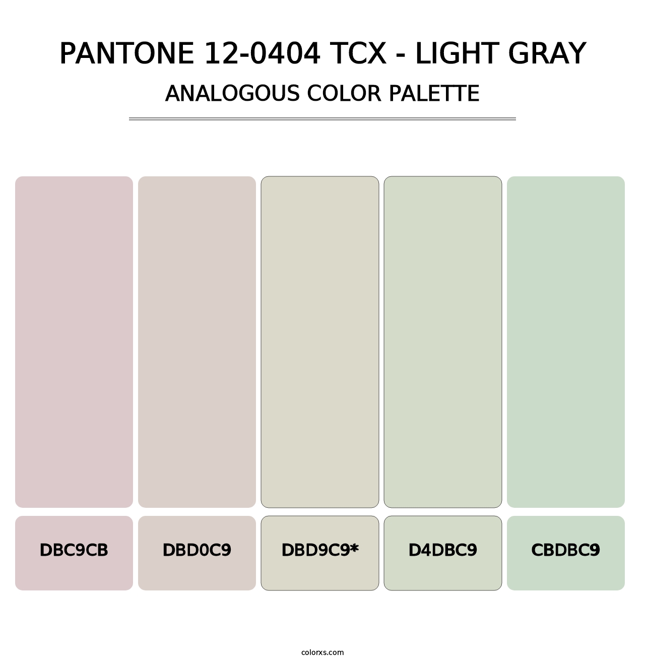 PANTONE 12-0404 TCX - Light Gray - Analogous Color Palette