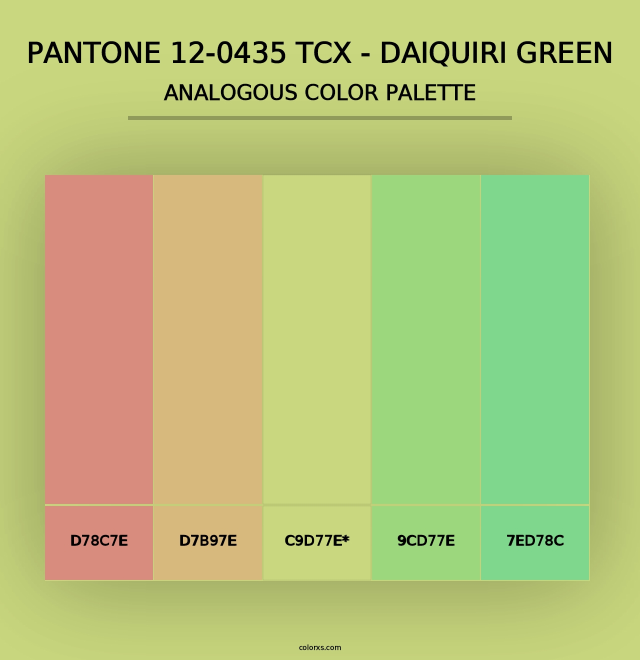 PANTONE 12-0435 TCX - Daiquiri Green - Analogous Color Palette