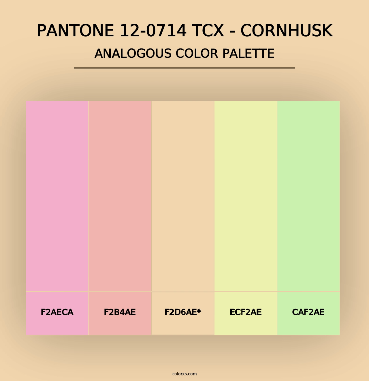 PANTONE 12-0714 TCX - Cornhusk - Analogous Color Palette