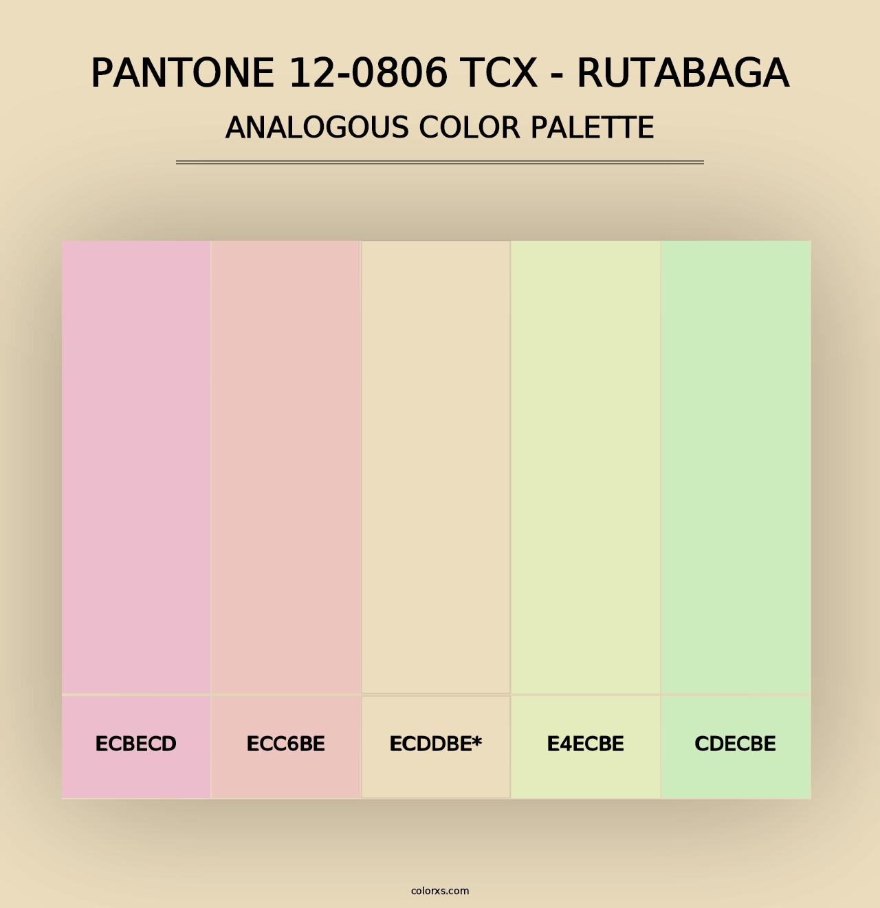 PANTONE 12-0806 TCX - Rutabaga - Analogous Color Palette