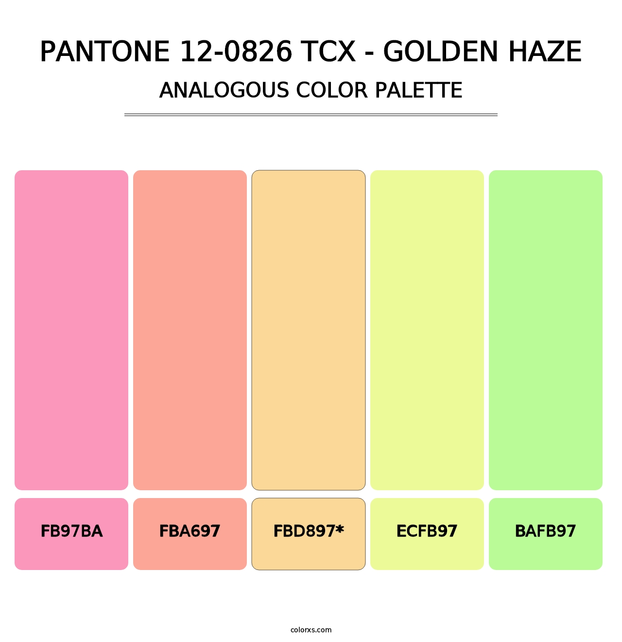 PANTONE 12-0826 TCX - Golden Haze - Analogous Color Palette