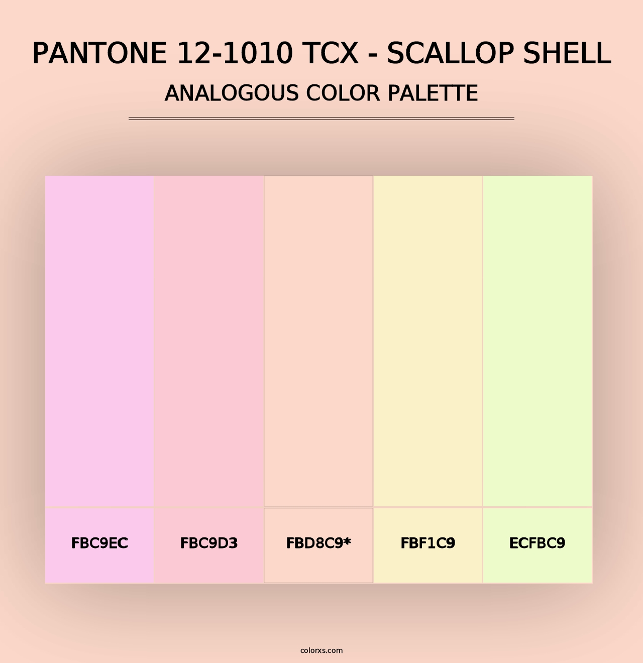 PANTONE 12-1010 TCX - Scallop Shell - Analogous Color Palette