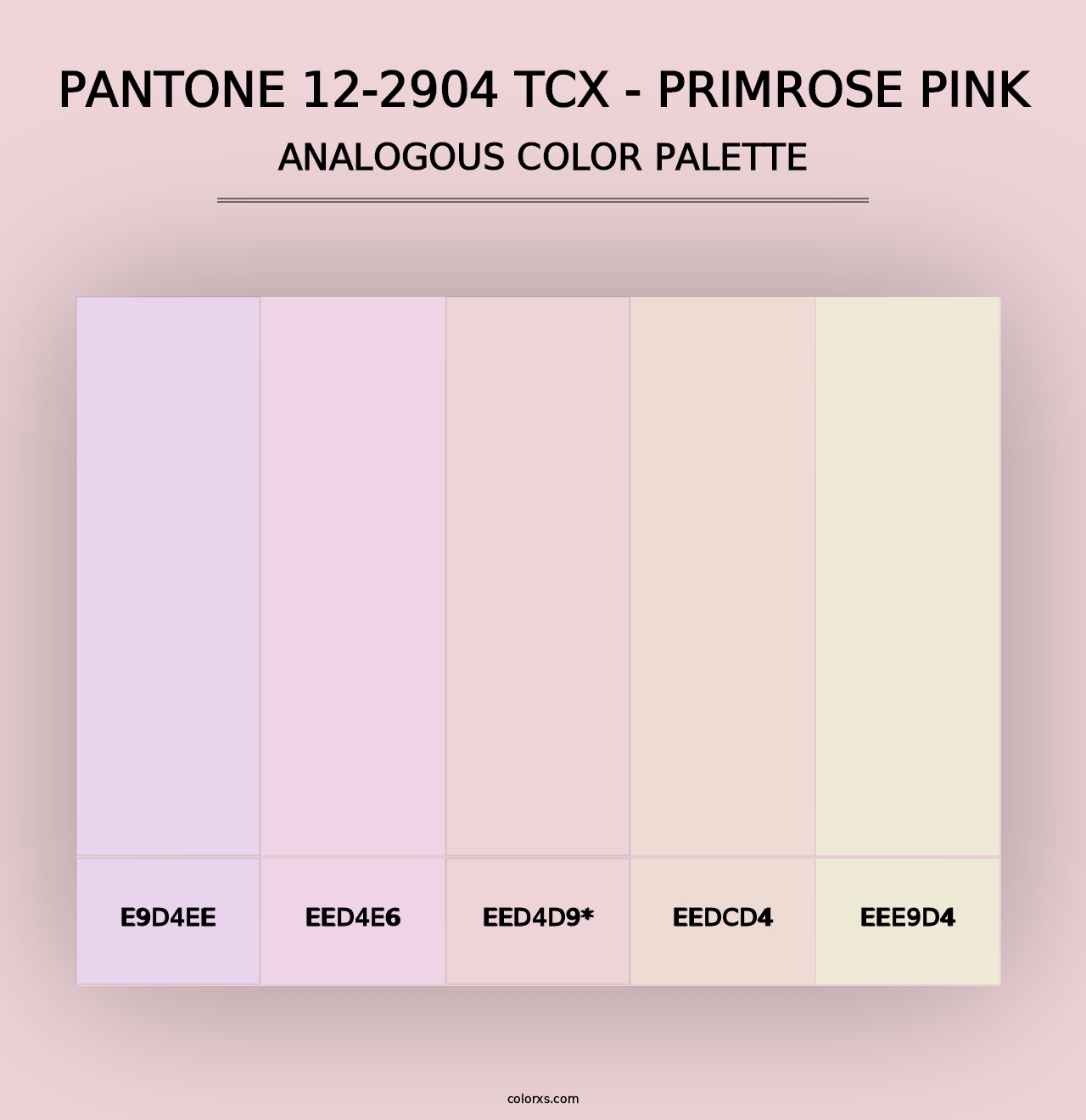 PANTONE 12-2904 TCX - Primrose Pink - Analogous Color Palette