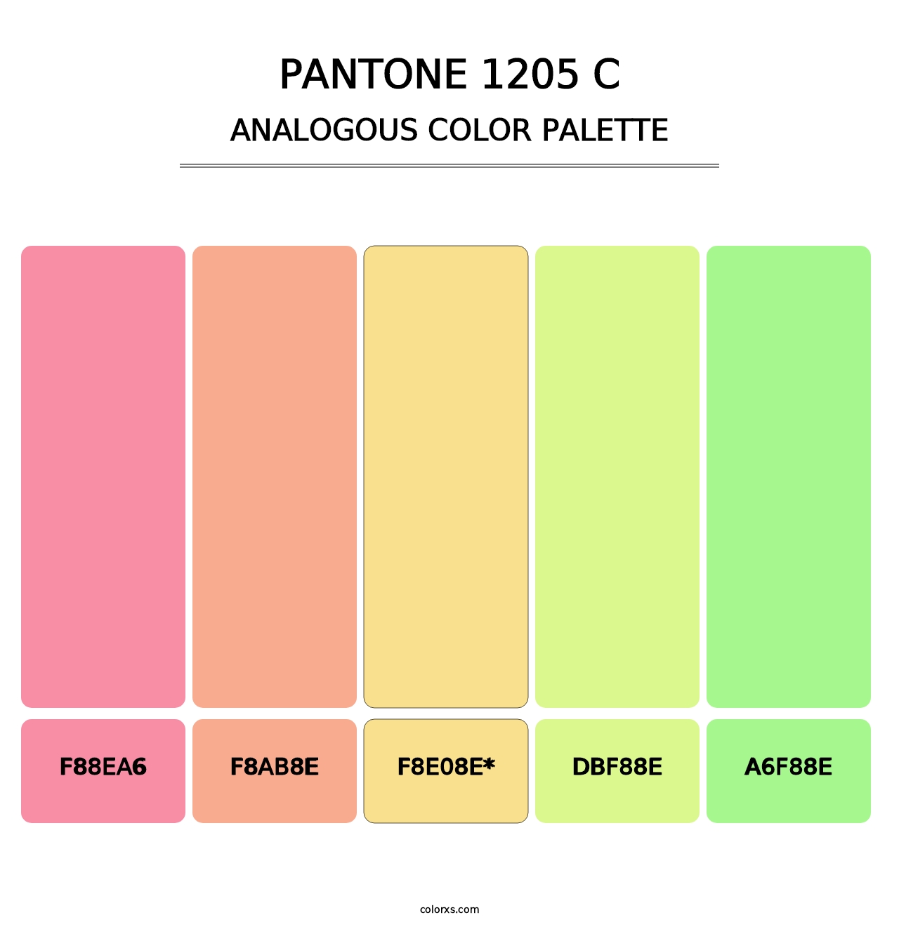 PANTONE 1205 C - Analogous Color Palette