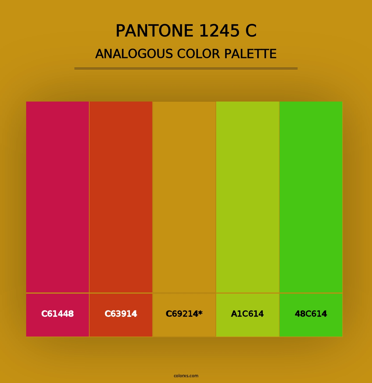 PANTONE 1245 C - Analogous Color Palette