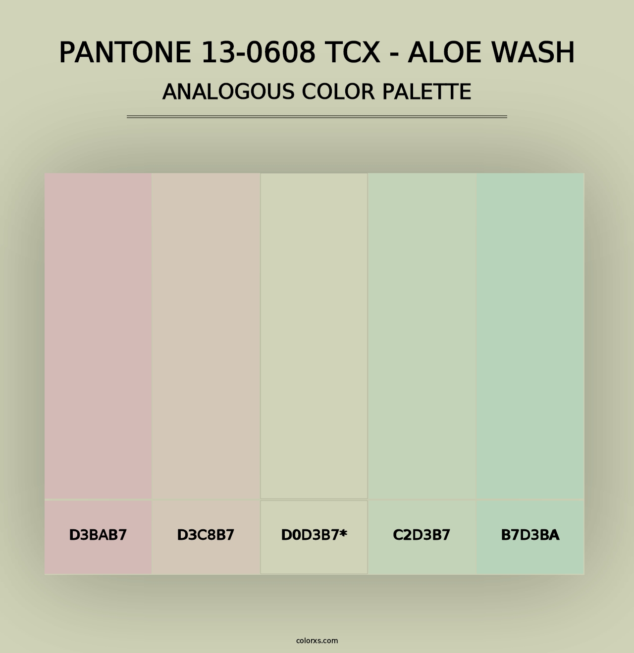 PANTONE 13-0608 TCX - Aloe Wash - Analogous Color Palette