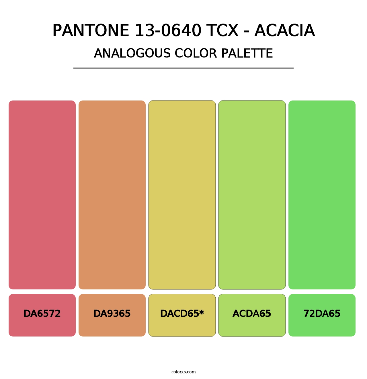 PANTONE 13-0640 TCX - Acacia - Analogous Color Palette