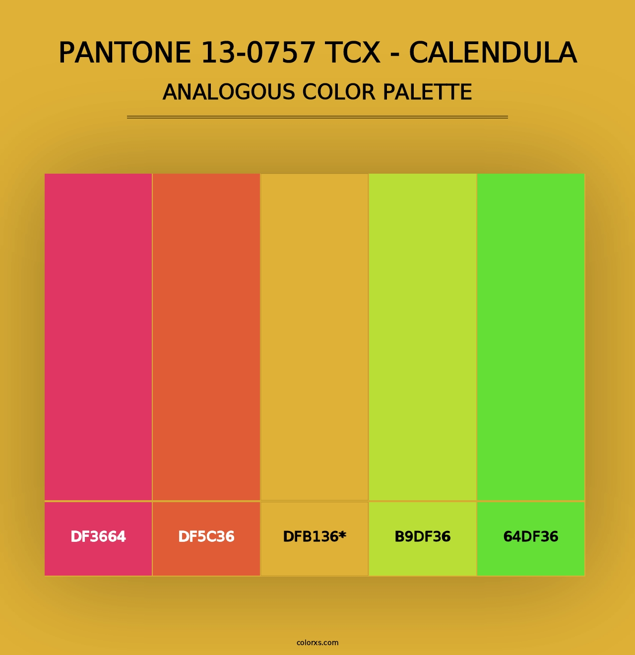 PANTONE 13-0757 TCX - Calendula - Analogous Color Palette