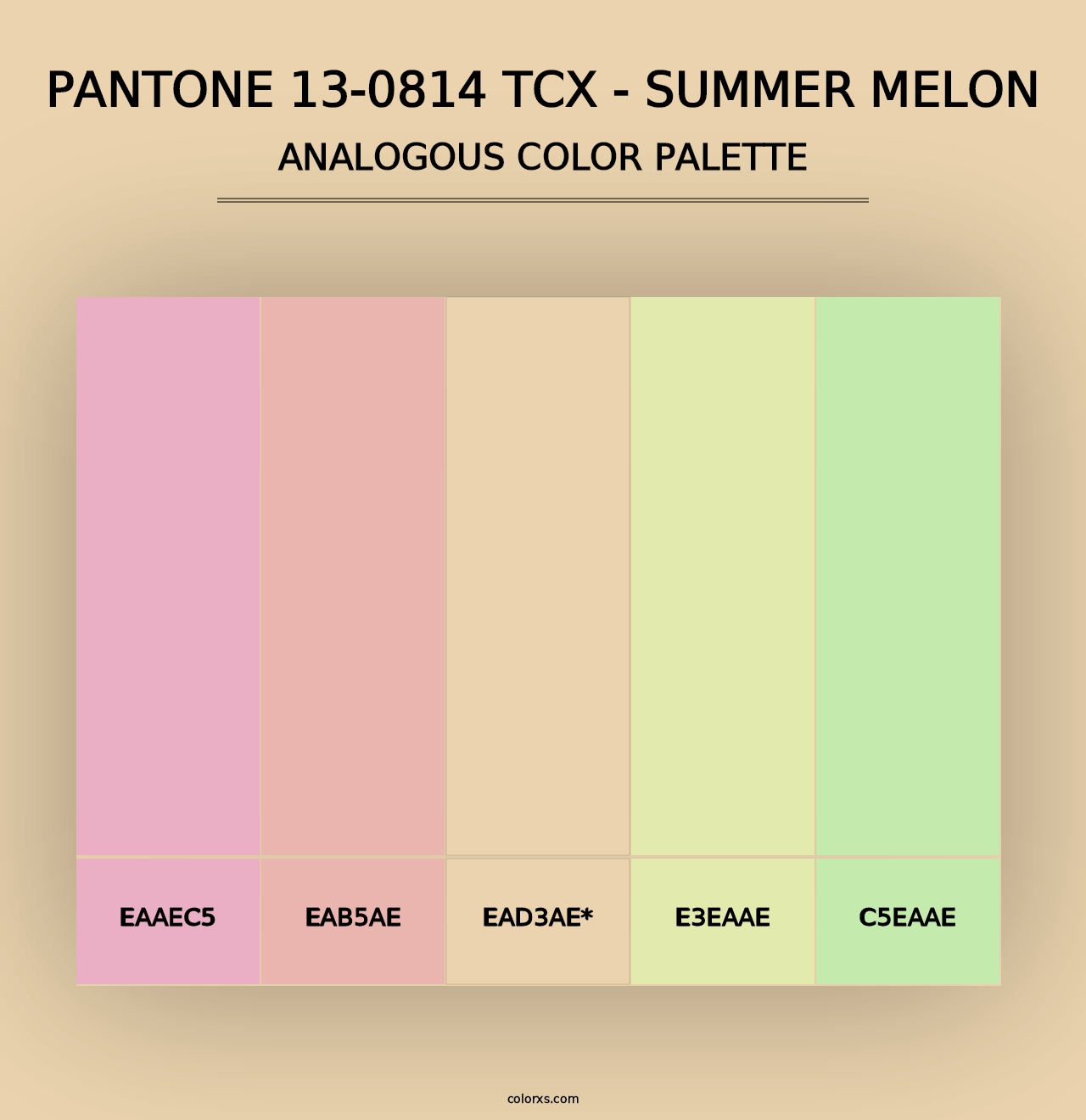 PANTONE 13-0814 TCX - Summer Melon - Analogous Color Palette