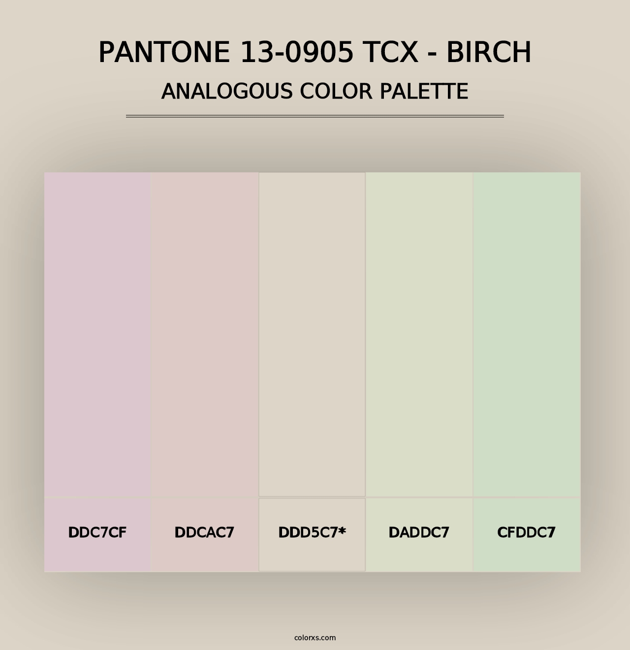 PANTONE 13-0905 TCX - Birch - Analogous Color Palette