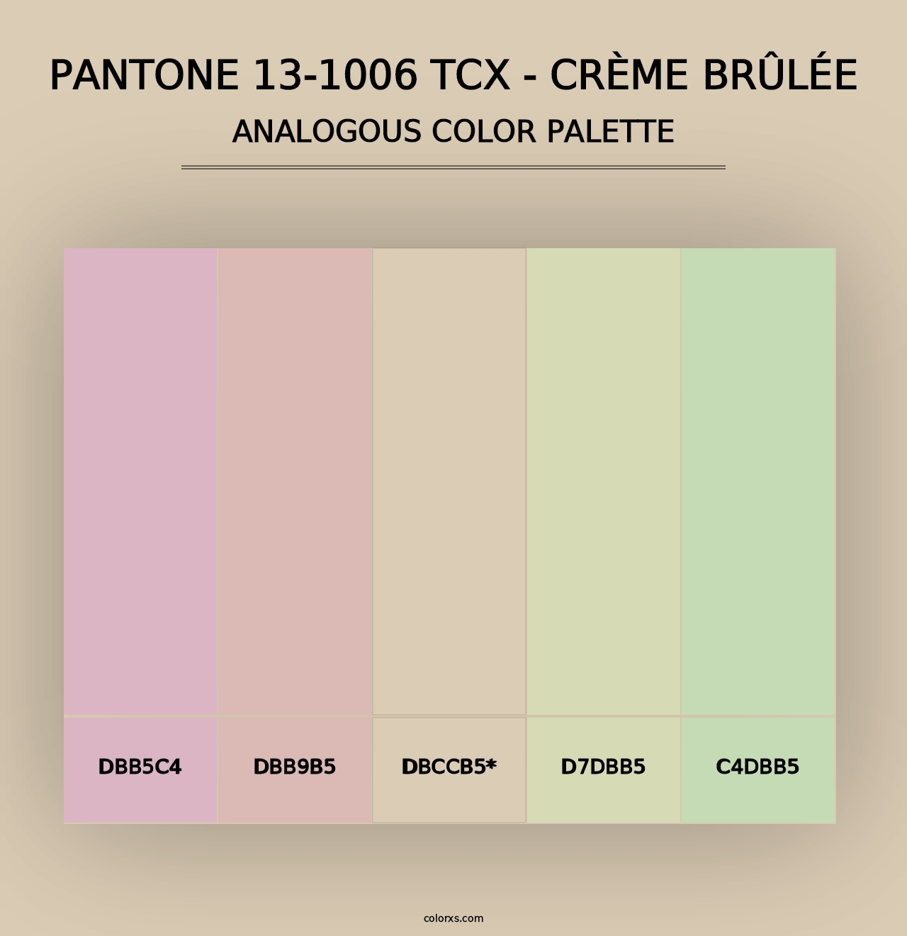 PANTONE 13-1006 TCX - Crème Brûlée - Analogous Color Palette