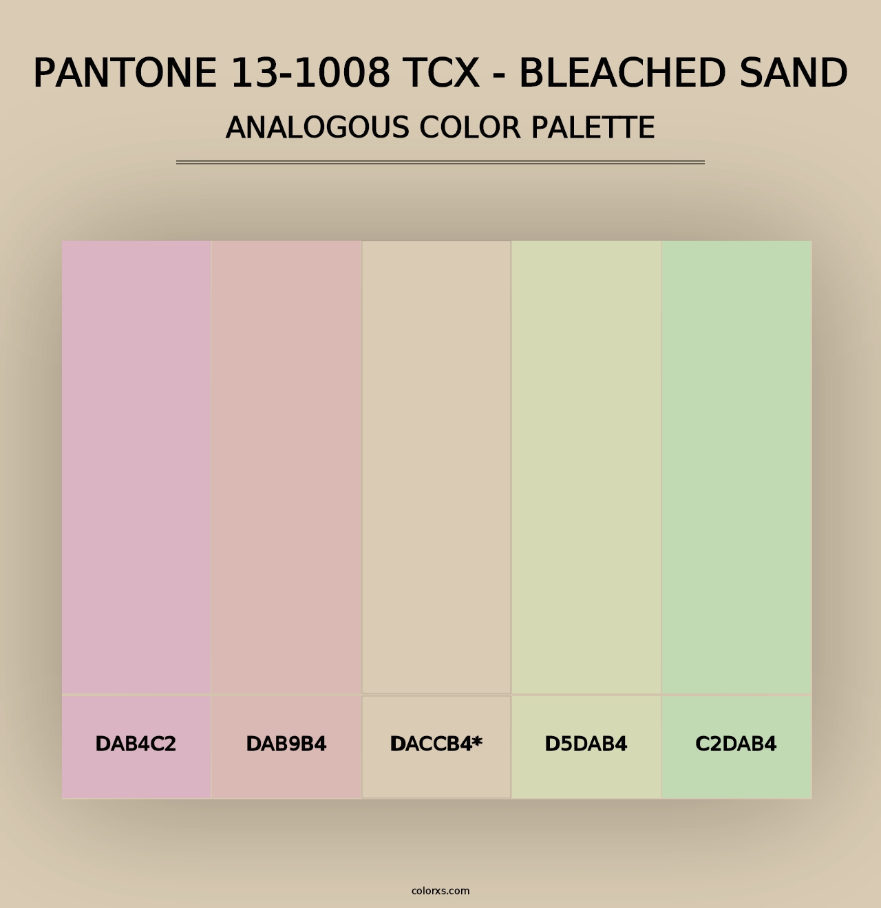 PANTONE 13-1008 TCX - Bleached Sand - Analogous Color Palette