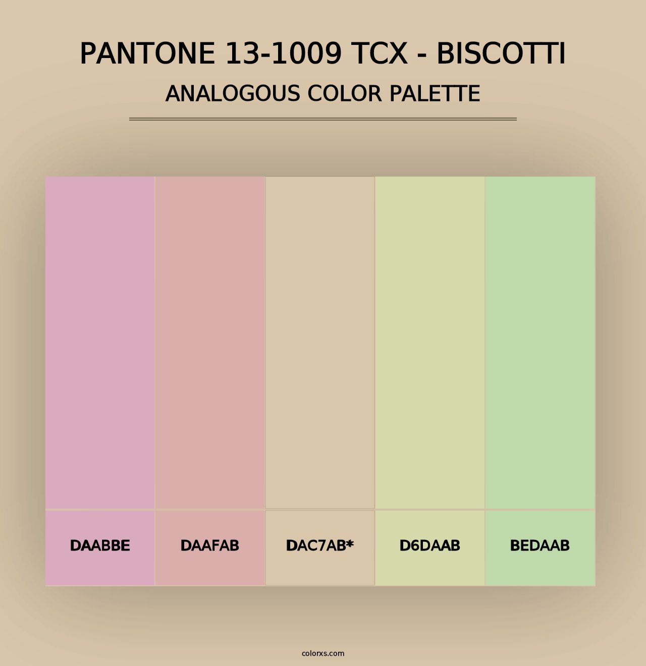 PANTONE 13-1009 TCX - Biscotti - Analogous Color Palette