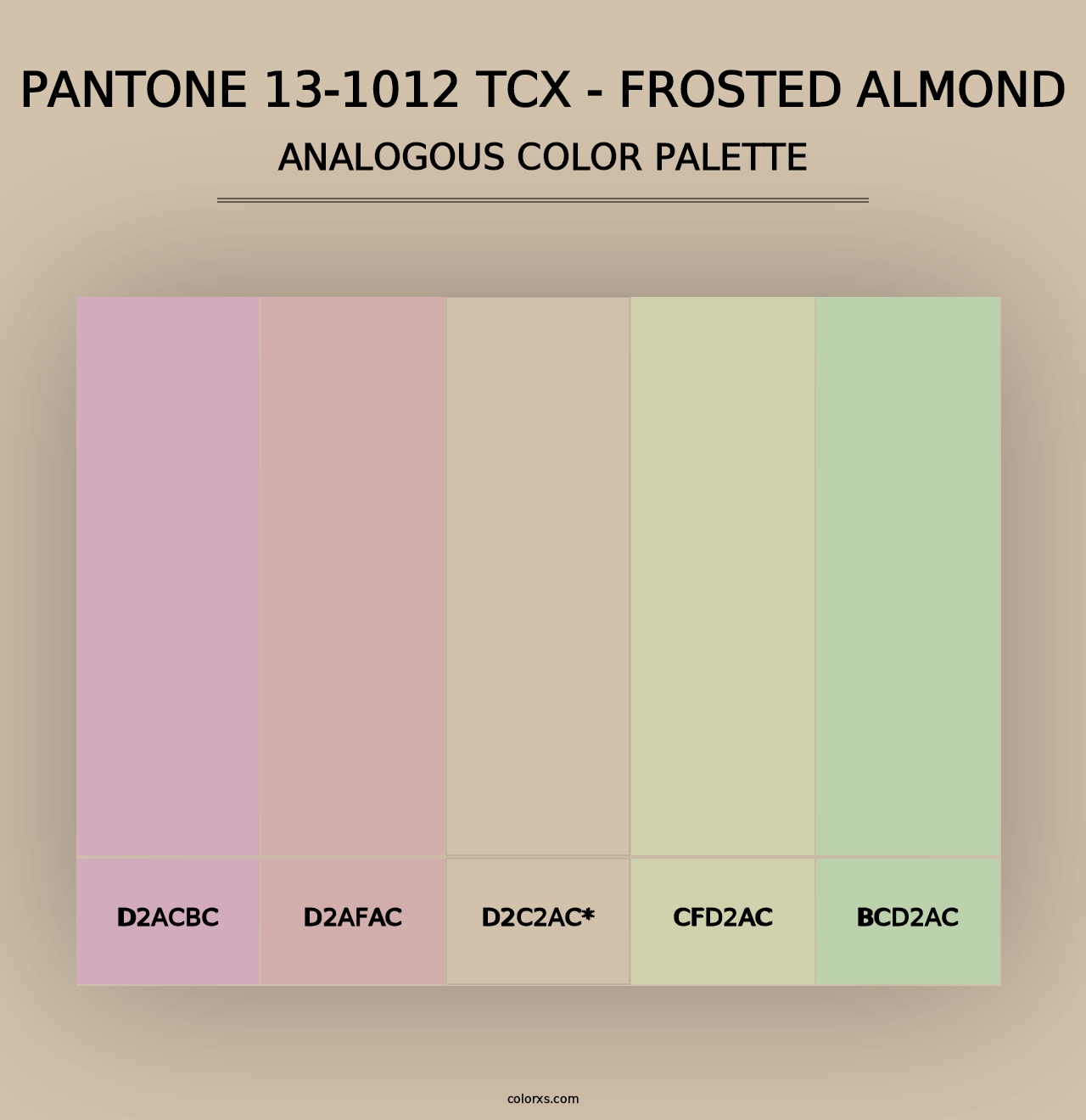 PANTONE 13-1012 TCX - Frosted Almond - Analogous Color Palette