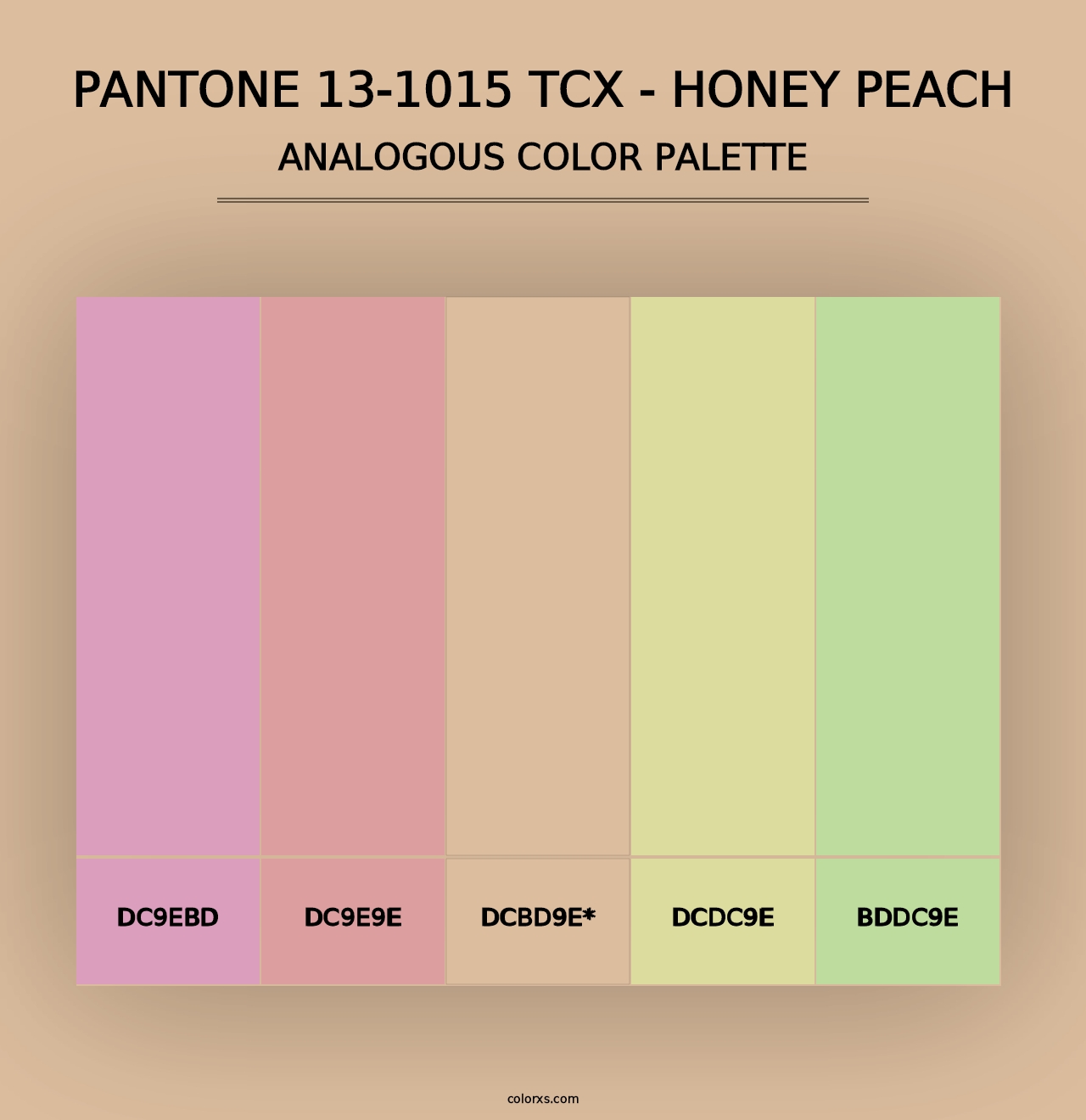 PANTONE 13-1015 TCX - Honey Peach - Analogous Color Palette